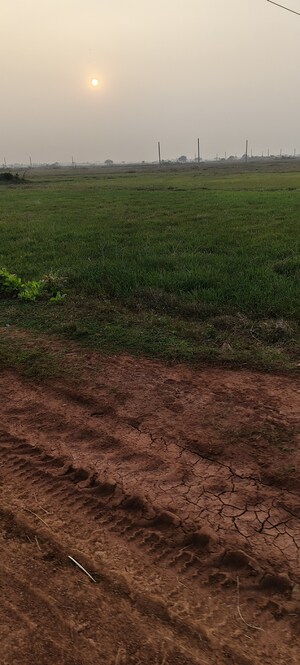 Plot Area in  Plot at Bhagawanpur – for Sale