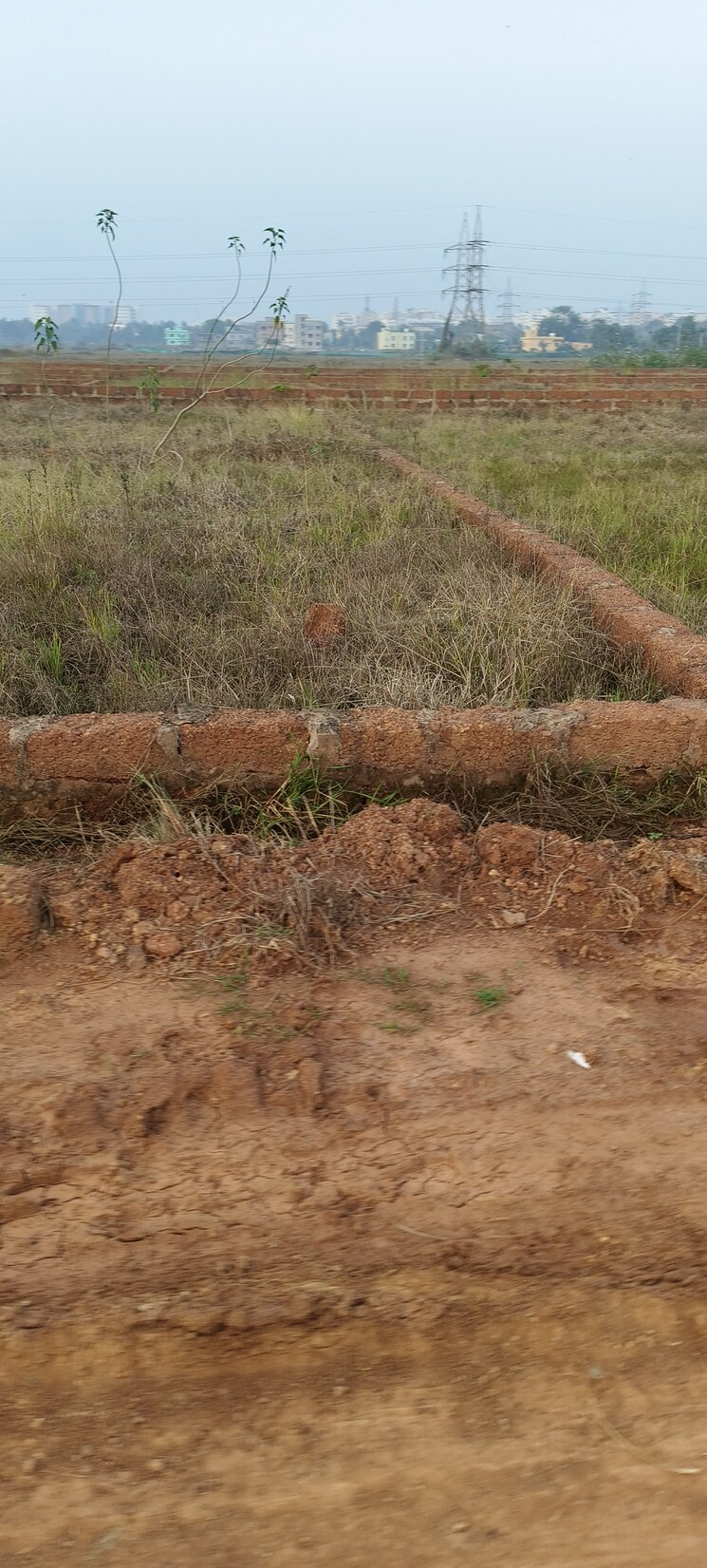 undefined, bhagawanpur  1518 Sq.Ft. Plot In Bhagawanpur Bhubaneswar 8804772
