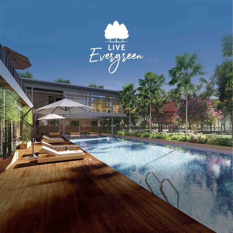 Swimming Pool, godrej-orchard-estate  1299 Sq.Ft. Plot In Besa Nagpur 8805035