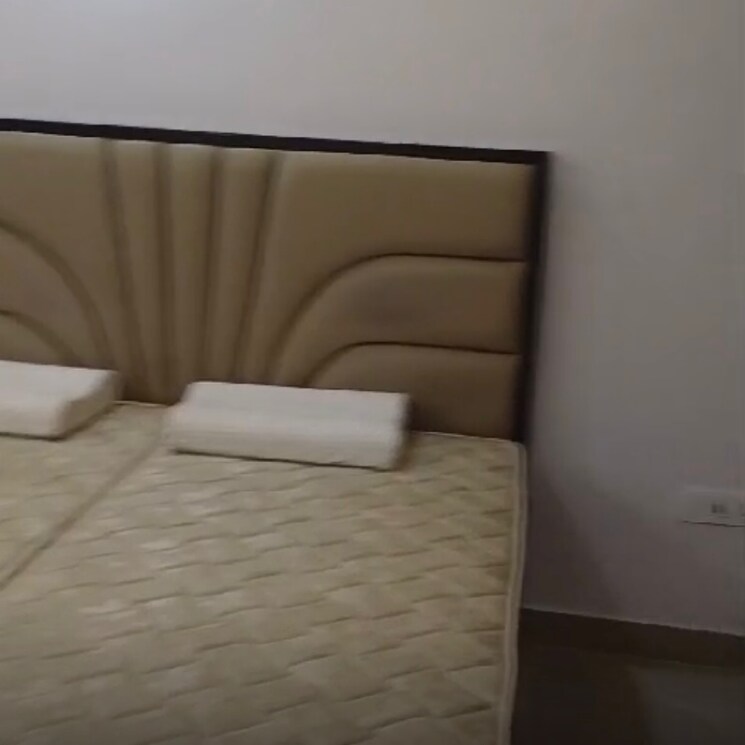 Room, lajpat nagar ii 1 Bedroom 900 Sq.Ft. Builder Floor In Lajpat Nagar ii Delhi 8805152