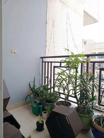 Balcony in 2.5 BHK Apartment at Aims Golf City, Sector 75 – for Sale