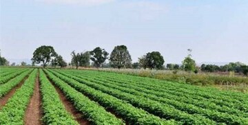  Plot – Garden View at Sector 10a - for Sale