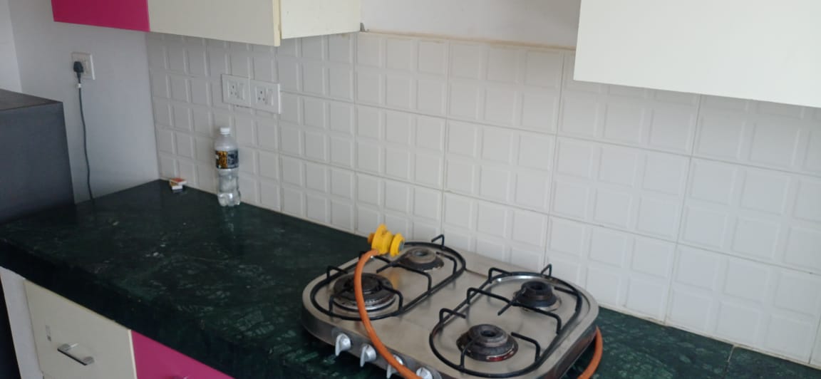 4 BHK + Extra Room Apartment For Rent in Bptp Park Sentosa