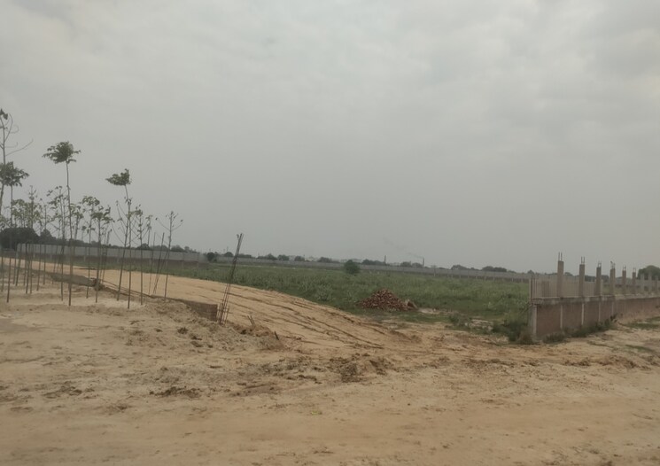 undefined, sector 70  268 Sq.Yd. Plot In Sector 70 Faridabad 8805539