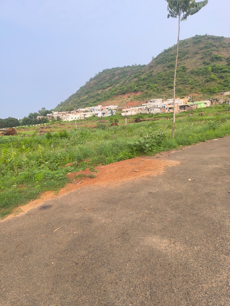 undefined, anandapuram  200 Sq.Yd. Plot In Anandapuram Vizag 8805945