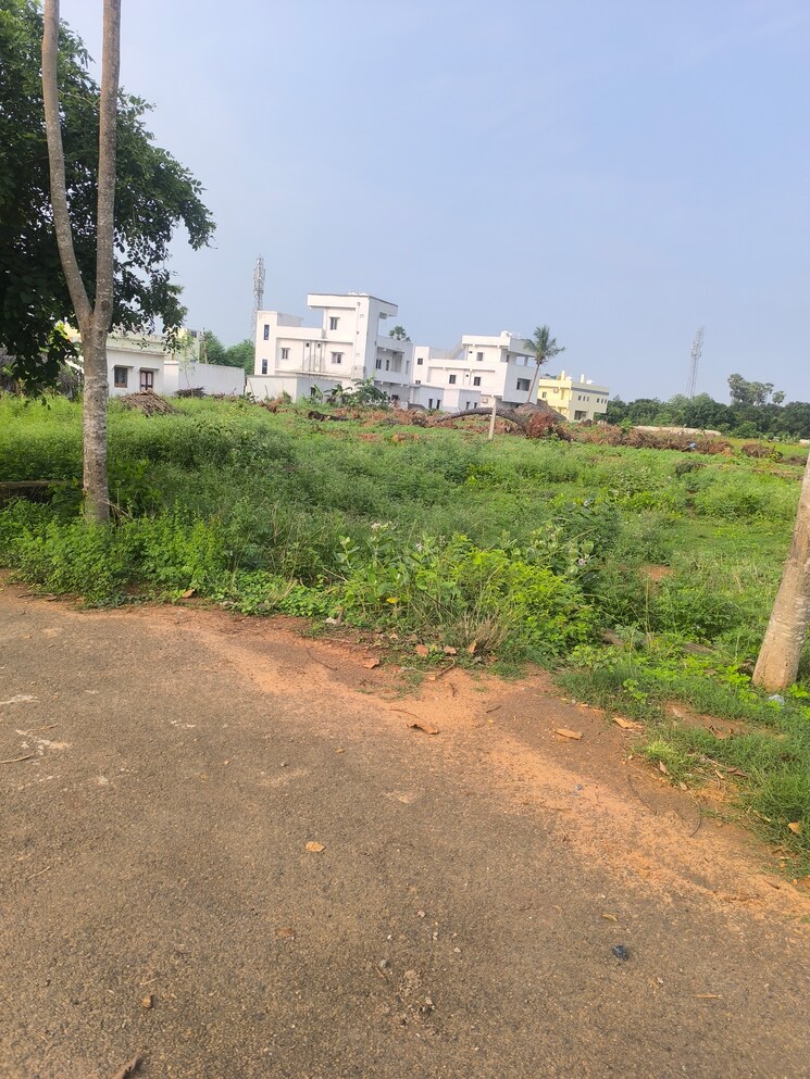 undefined, anandapuram  200 Sq.Yd. Plot In Anandapuram Vizag 8805945