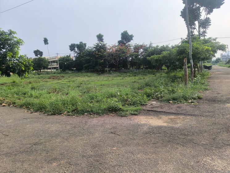 undefined, anandapuram  200 Sq.Yd. Plot In Anandapuram Vizag 8805945