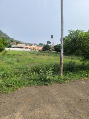  Plot For Sale in Anandapuram