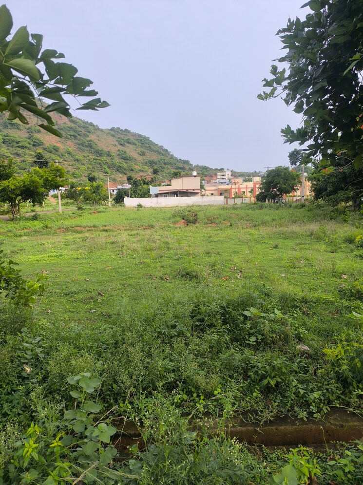Garden, anandapuram  200 Sq.Yd. Plot In Anandapuram Vizag 8805945