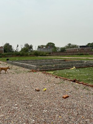 Plot Area in  Plot at Sector 123 – for Sale