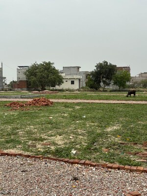 Plot Area in  Plot at Sector 123 – for Sale