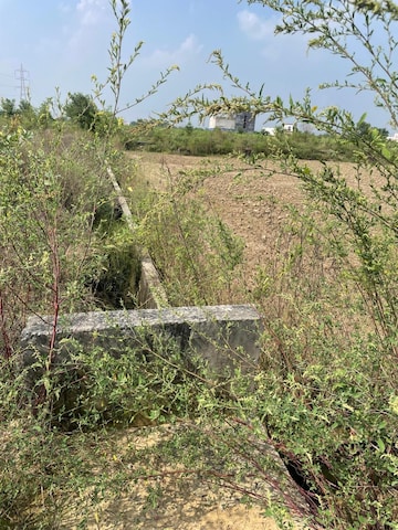Plot Area in  Plot at Mu 2 Greater Noida – for Sale