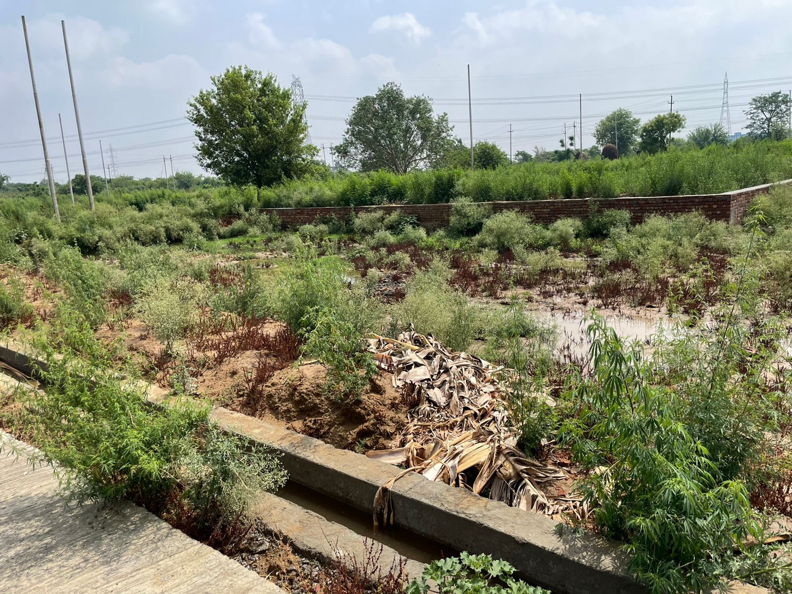 Plot For Sale in Kishan 4 Percent Plots