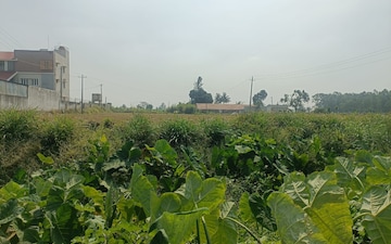 Plot For Sale in Devanahalli