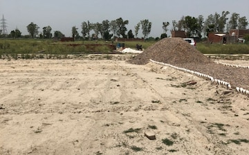 Plot Area in Plot at Jajru – for Sale