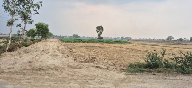 undefined, soldha Commercial Industrial Plot 500 Sq.Yd. In Soldha Bahadurgarh 8806631