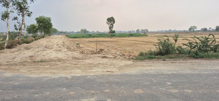 undefined, soldha Commercial Industrial Plot 500 Sq.Yd. In Soldha Bahadurgarh 8806631