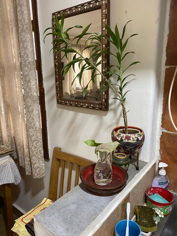 Living Room in 3 BHK Builder Floor at Sarvodaya Enclave – for Rent