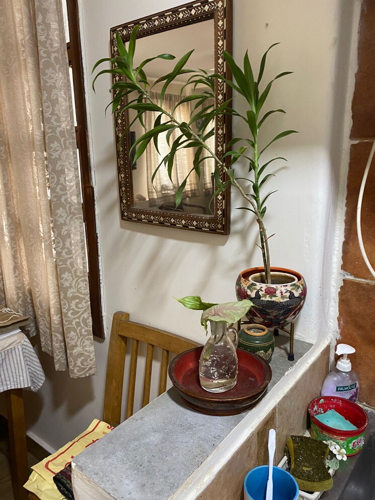 Living Room, sarvodaya enclave 3 Bedroom 1800 Sq.Ft. Builder Floor In Sarvodaya Enclave Delhi 8806843