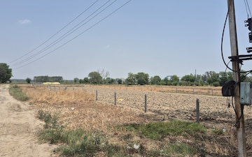 Land For Sale in Hassangarh
