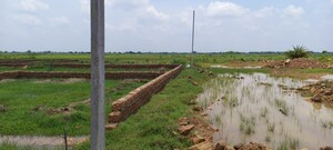 Plot Area in  Plot at Patrapada – for Sale