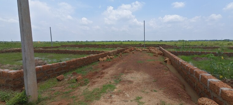 undefined, patrapada  1521 Sq.Ft. Plot In Patrapada Bhubaneswar 8807081