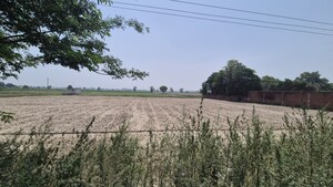 Land For Sale in Bahalgarh