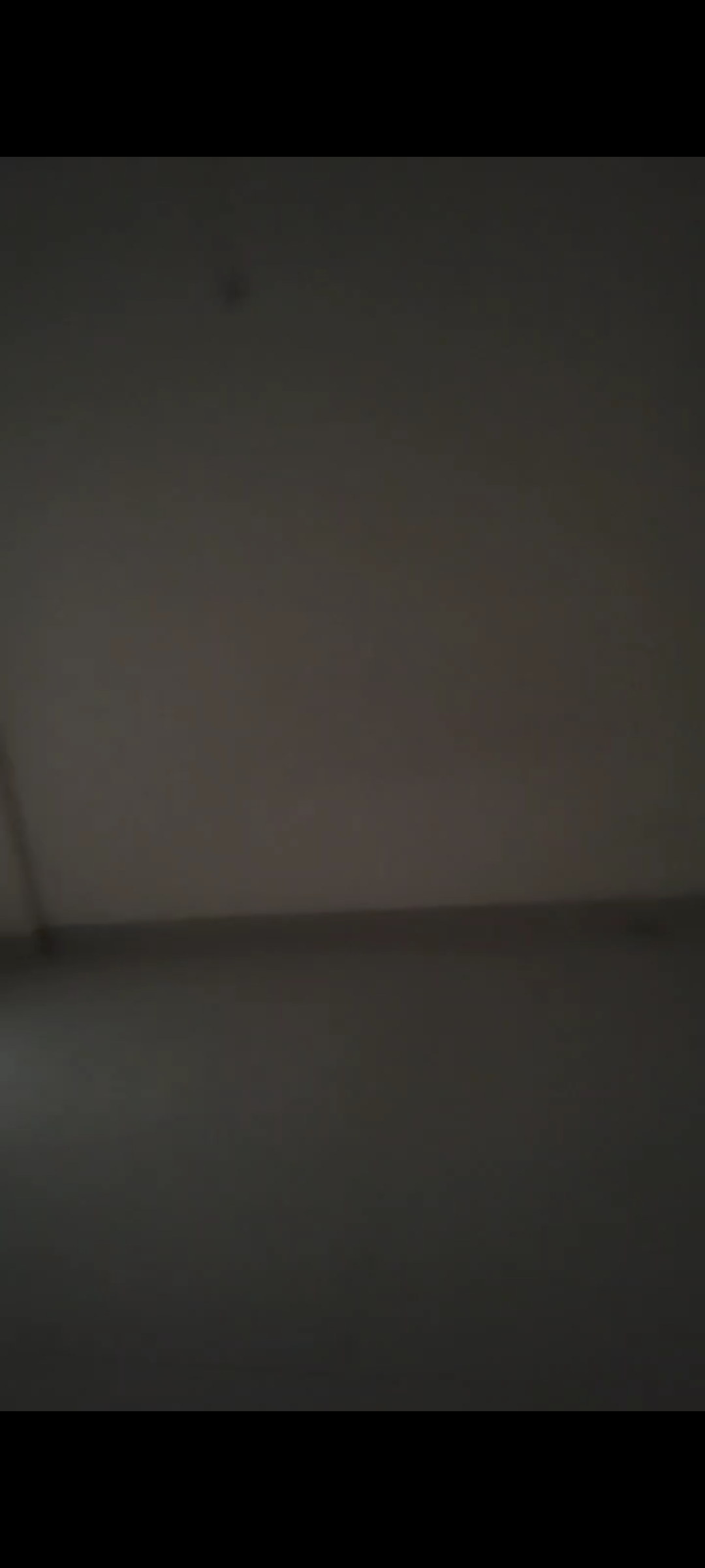 2 BHK + Pooja Room Apartment For Rent in Wave Executive Floors