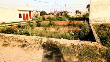 Plot Area in  Plot at Sector 144 – for Sale