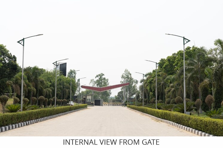 Exterior View, sector 12 panchkula  1000 Sq.Ft. Plot In Sector 12 Panchkula Panchkula 8807168