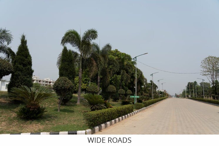 Garden, sector 12 panchkula  1000 Sq.Ft. Plot In Sector 12 Panchkula Panchkula 8807168