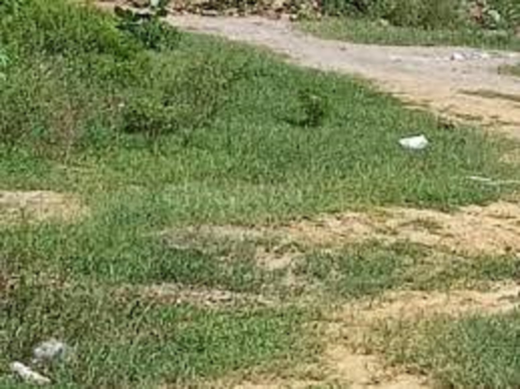 Plot For Sale in Sector 39