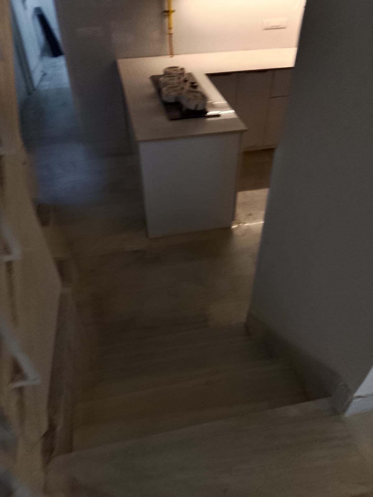 3 BHK + Servant Room Builder Floor For Rent in Hauz Khas