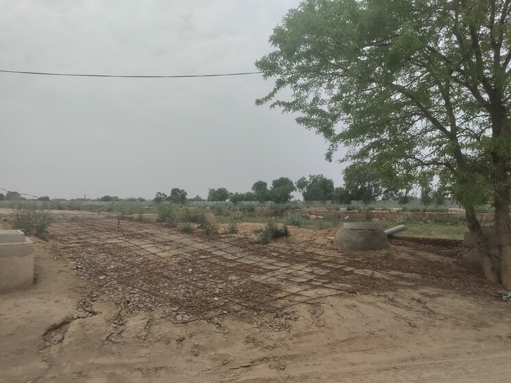 undefined, sector 97  153 Sq.Yd. Plot In Sector 97 Faridabad 8808353