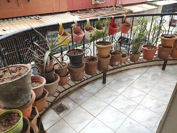 Balcony in 3 BHK Apartment at Paldi – for Rent