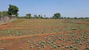  Land For Rent in S G Highway