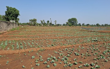 Land For Rent in S G Highway