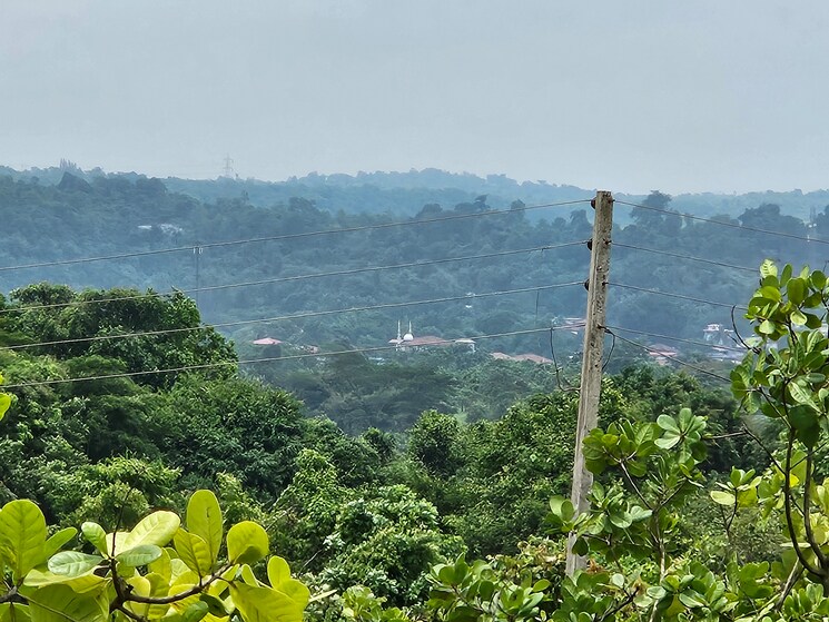 Garden, mangaon Commercial Land 7 Acre In Mangaon Raigad 8808999