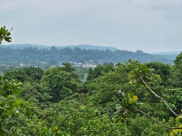  Land – Garden View at Mangaon - for Sale