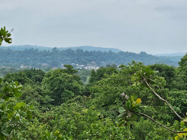 Garden, mangaon Commercial Land 7 Acre In Mangaon Raigad 8808999