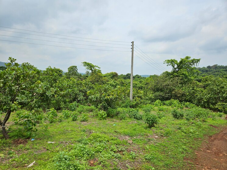 Garden, mangaon Commercial Land 7 Acre In Mangaon Raigad 8808999
