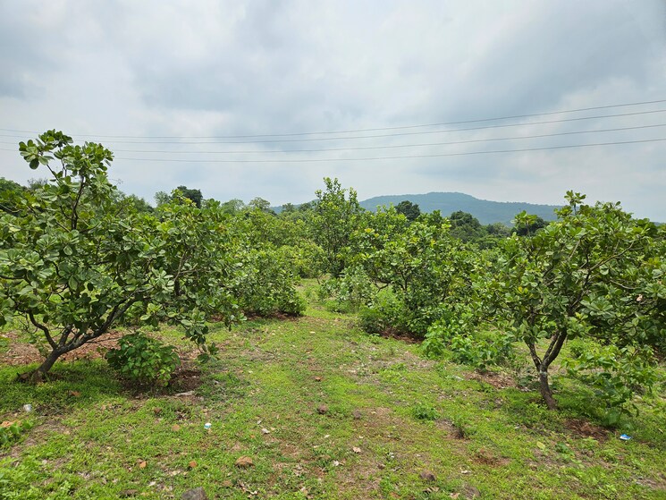 undefined, mangaon Commercial Land 7 Acre In Mangaon Raigad 8808999