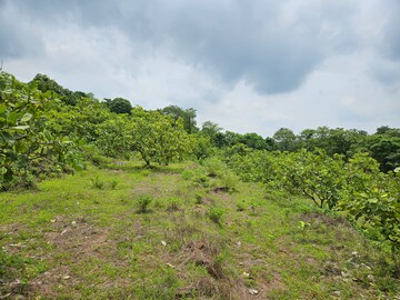 Plot Area in  Land at Mangaon – for Sale