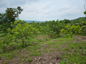 Plot Area in  Land at Mangaon – for Sale