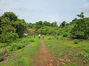 Plot Area in  Land at Mangaon – for Sale
