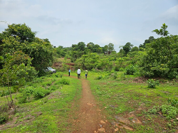 undefined, mangaon Commercial Land 7 Acre In Mangaon Raigad 8808999