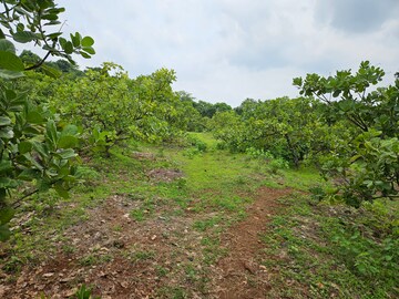 Plot Area in  Land at Mangaon – for Sale