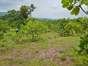  Land – Garden View at Mangaon - for Sale