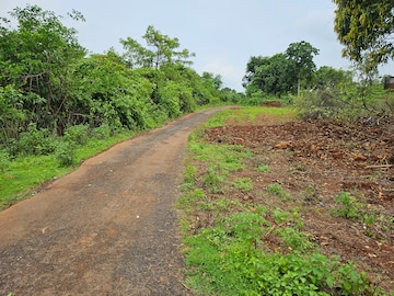 Plot Area in  Land at Mangaon – for Sale