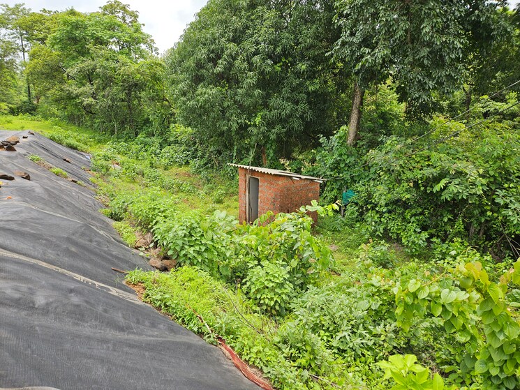Garden, mangaon Commercial Land 7 Acre In Mangaon Raigad 8808999